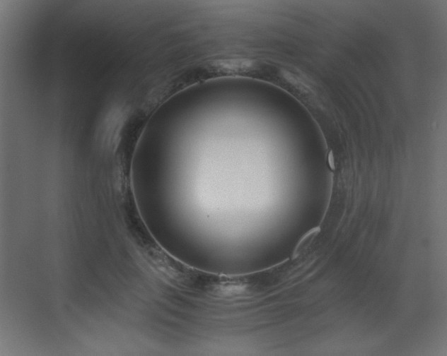 X0000073450651200607281222