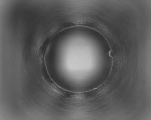 X0000073450652200607281222