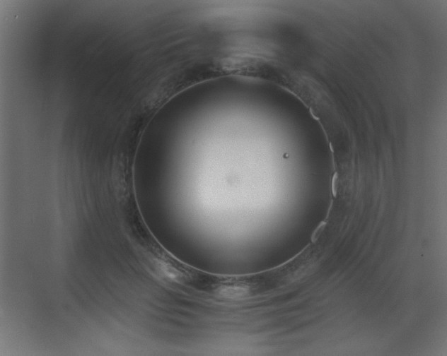 X0000073450653200607281222