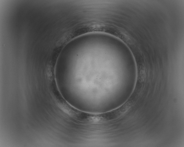 X0000073450654200607281222