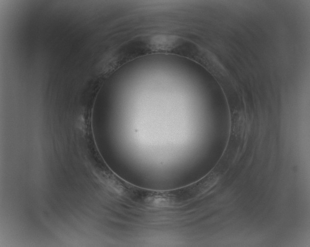 X0000073450655200607281222