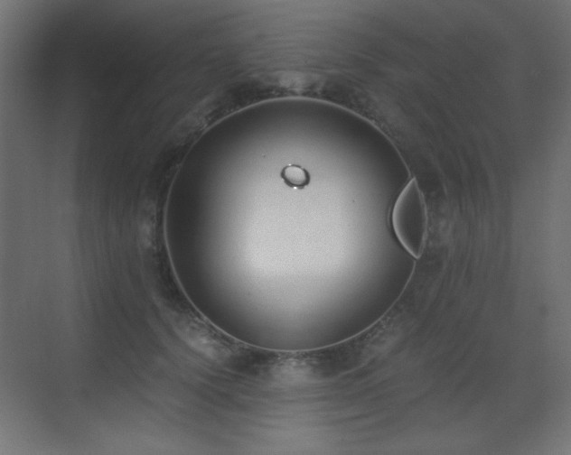 X0000073450656200607281222