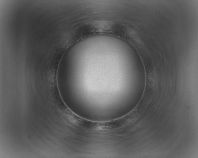 X0000073450657200607281222