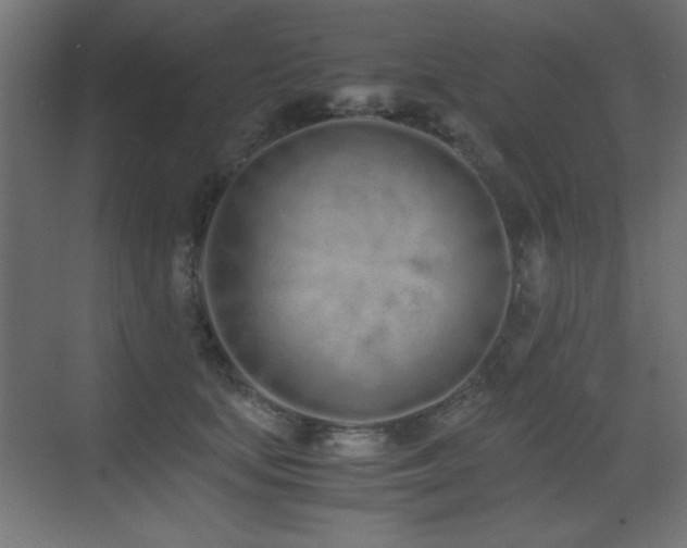 X0000073450659200607281222