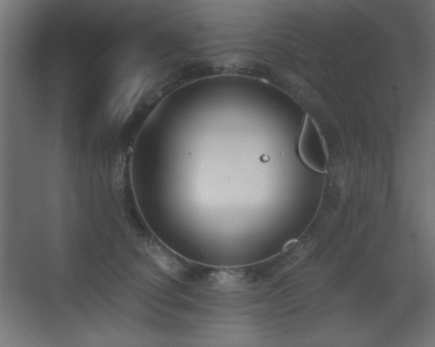 X0000073450660200607281222