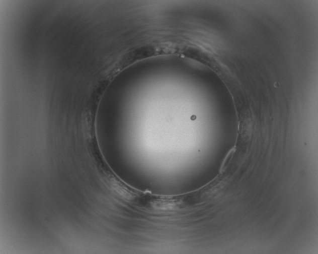 X0000073450661200607281222