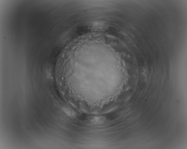 X0000073450663200607281222