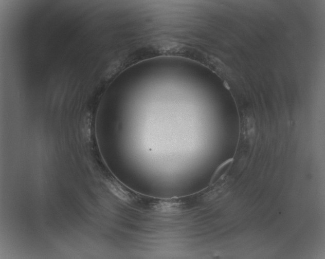 X0000073450664200607281222