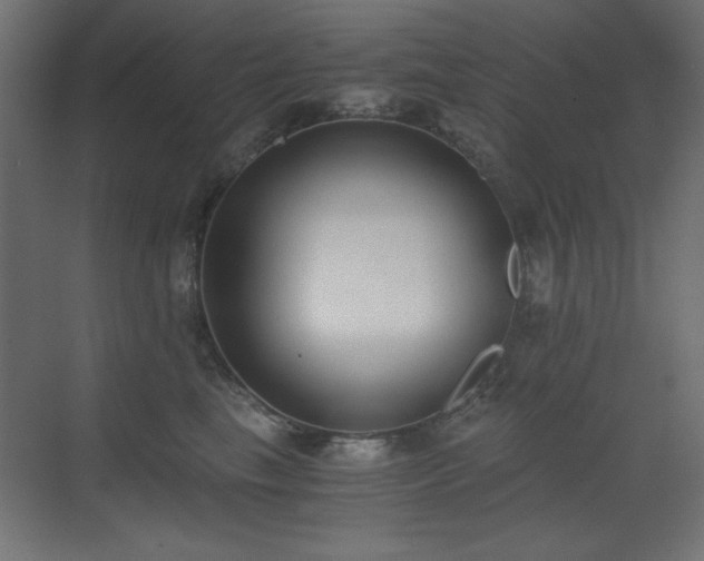 X0000073450665200607281222