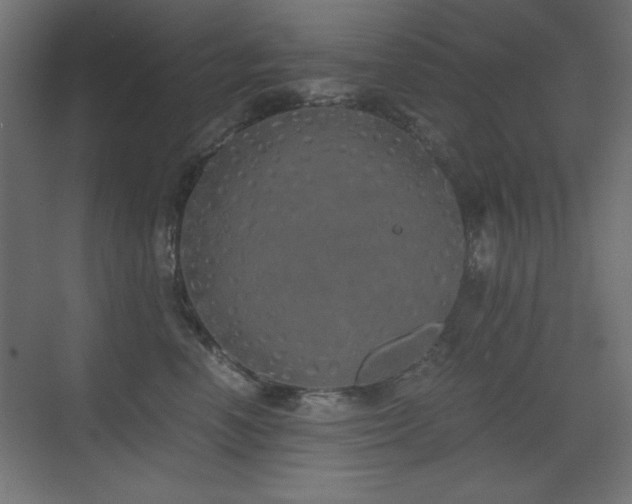 X0000073450666200607281222