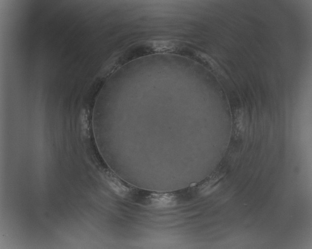 X0000073450667200607281222