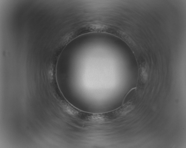 X0000073450668200607281222