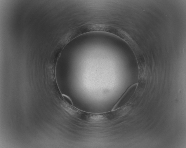 X0000073450669200607281222