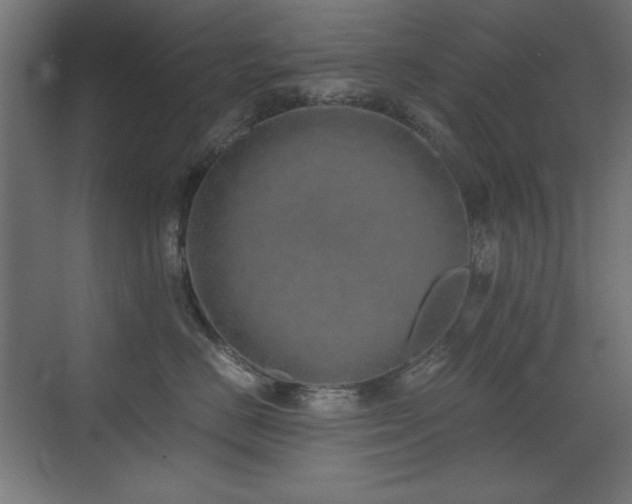 X0000073450670200607281222