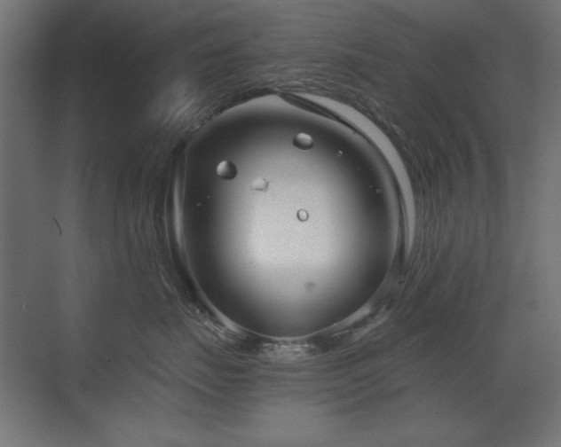 X0000073450671200607281222