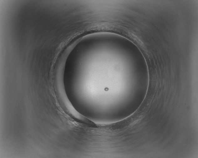 X0000073450673200607281222