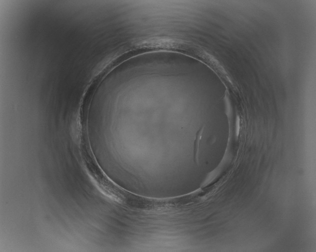 X0000073450674200607281222