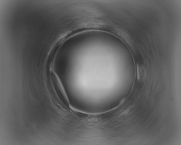 X0000073450675200607281222