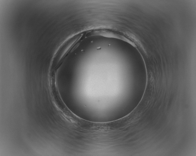 X0000073450676200607281221