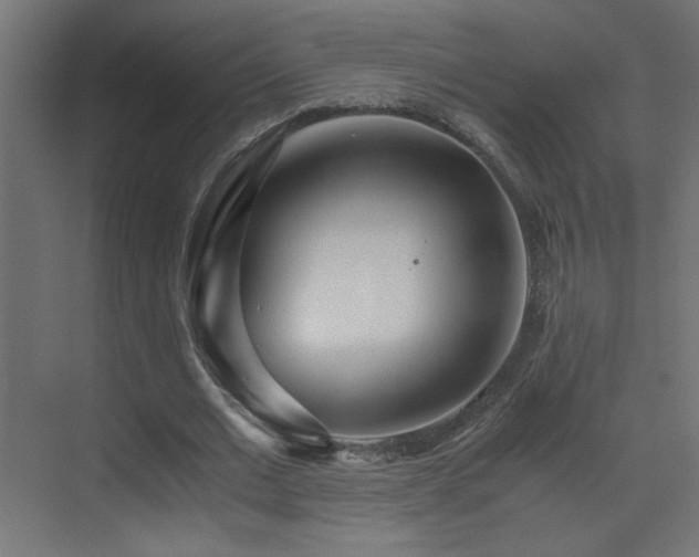 X0000073450677200607281221