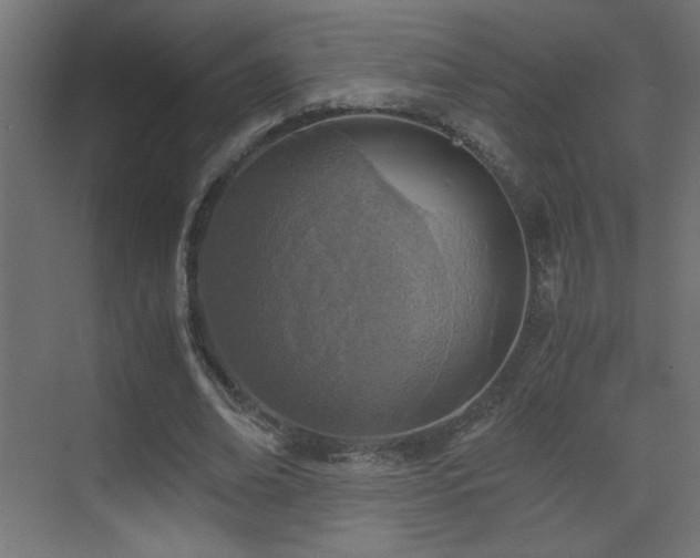 X0000073450678200607281221