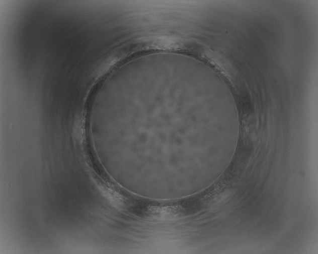 X0000073450679200607281221