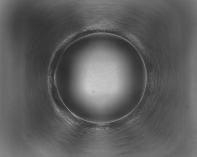 X0000073450680200607281221