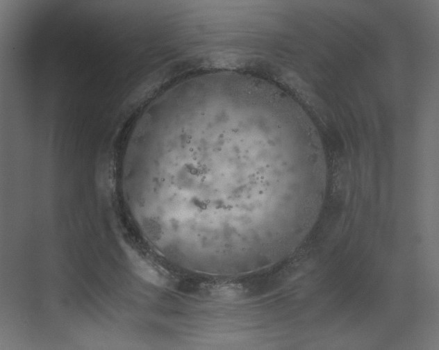 X0000073450683200607281221