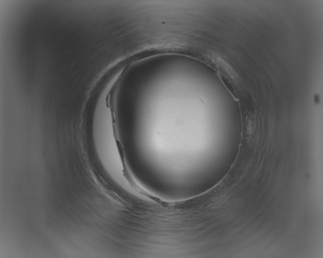 X0000073450684200607281221