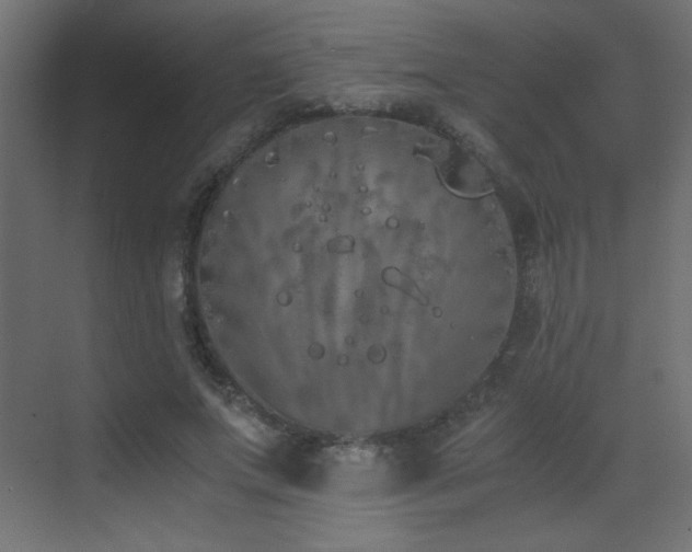 X0000073450687200607281221