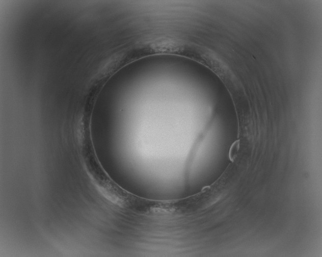 X0000073450690200607281221