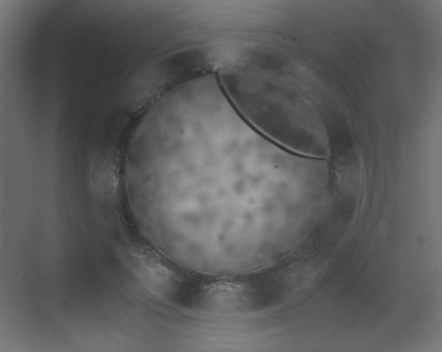 X0000073450691200607281221