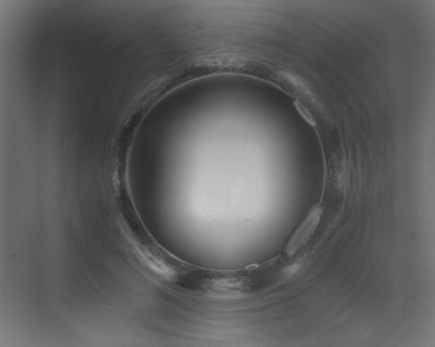 X0000073450692200607281221