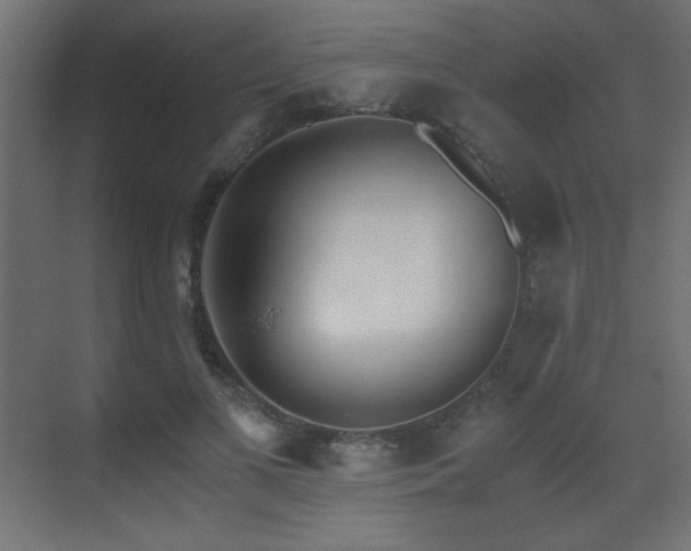 X0000073450693200607281221