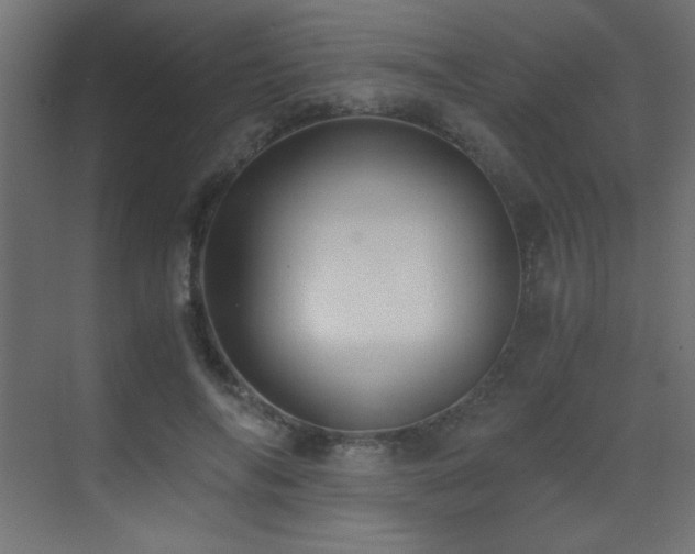 X0000073450694200607281221