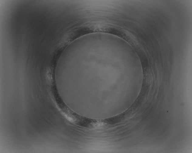 X0000073450695200607281221