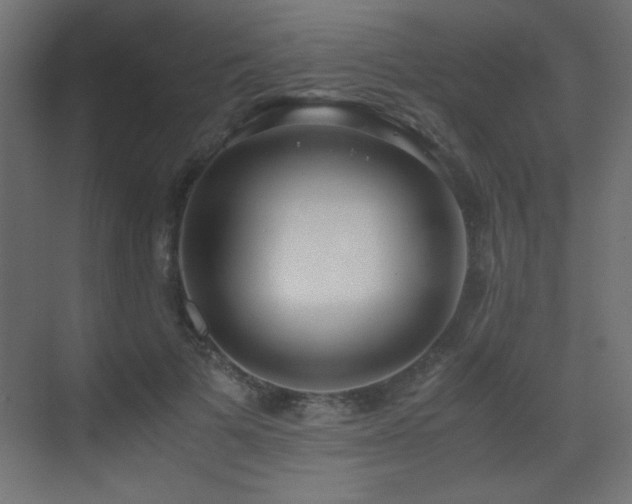 X0000073450697200607281221