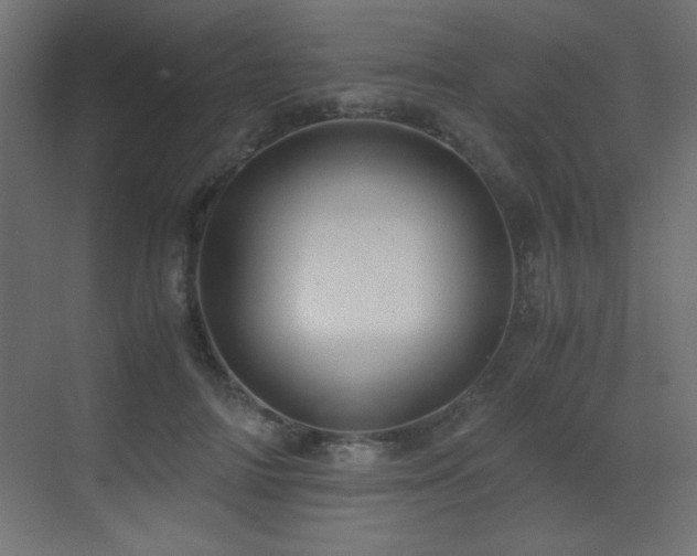 X0000073450698200607281221