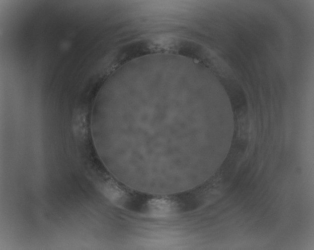 X0000073450699200607281221