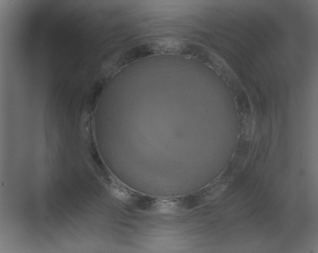 X0000073450701200607281221