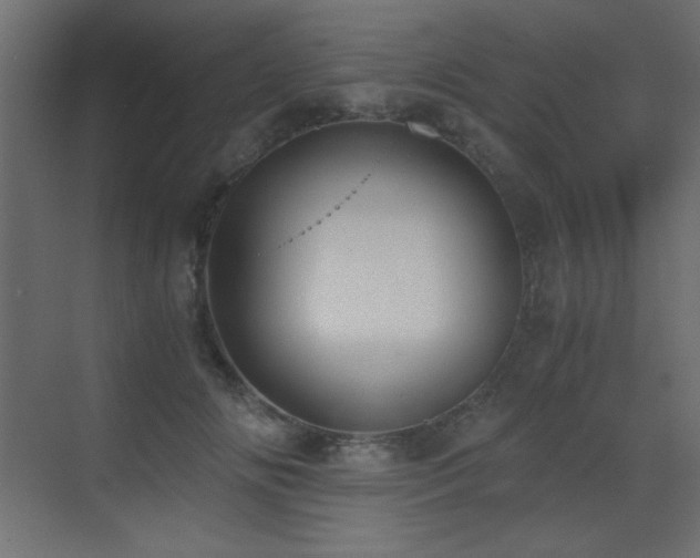 X0000073450702200607281221