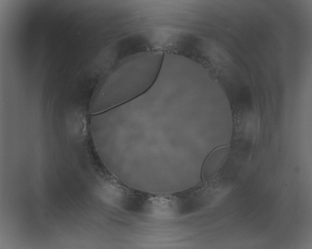 X0000073450703200607281221