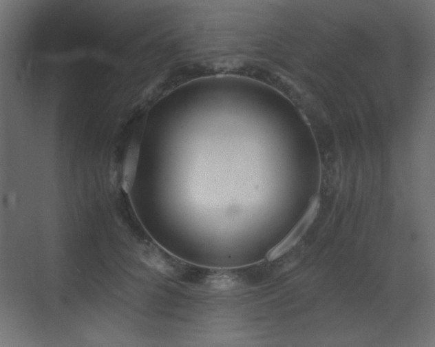 X0000073450704200607281221