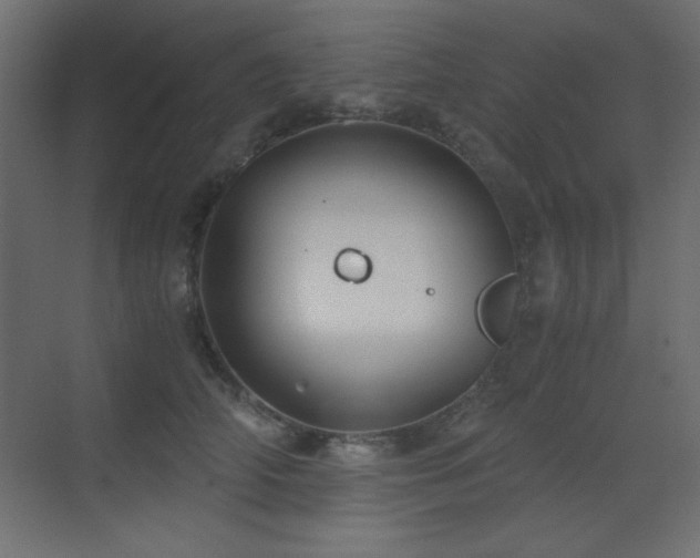 X0000073450706200607281221