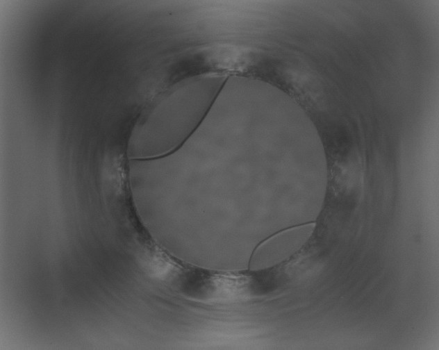 X0000073450707200607281221