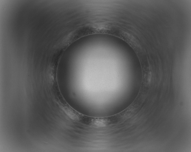 X0000073450710200607281221