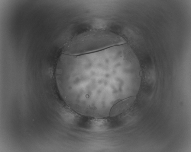 X0000073450711200607281221