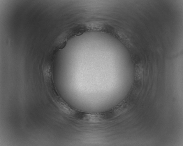 X0000073450713200607281221