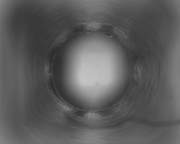 X0000073450714200607281221