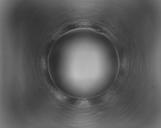 X0000073450715200607281221